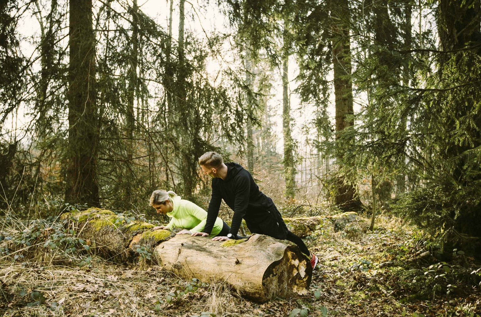 Outdoor-Training im Wald: Liegestütze an einem Baumstamm