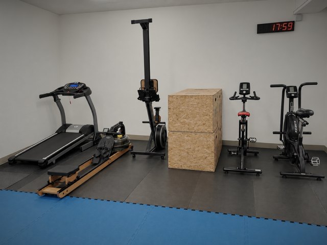 Cardiobereich mit Laufband, Rudergerät, Bikes und Plyo-Box
